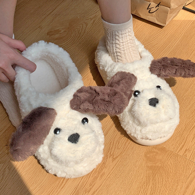 Dog Slippers