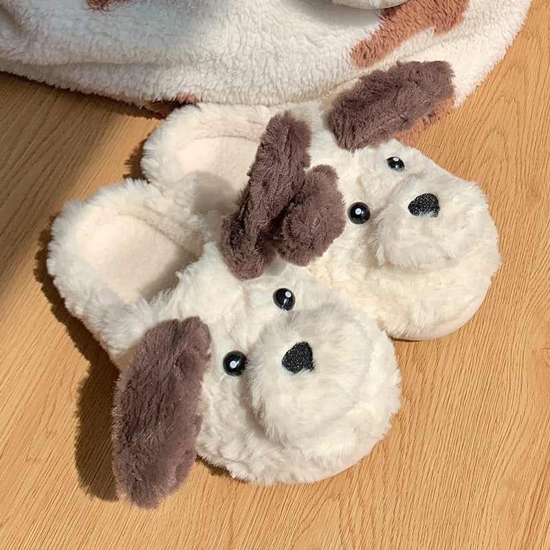 Dog Slippers